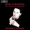 Small is Beautiful  Short Pieces for Solo Flute
