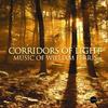 Ferris - Corridors of Light