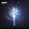 RIOPY - tree of light