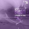 Steve Last - Bloom: A Ripple in Time