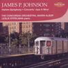 James P Johnson - Harlem Symphony, Concerto Jazz A Mine, etc