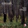 Atem Lied: Woeks for Bass Flute