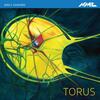 Emily Howard - Torus