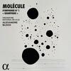Molecule - Symphony no.1 Quantique