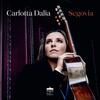 Carlotta Dalia: Segovia