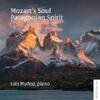 Mozarts Soul: Patagonian Spirit