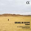 Handel - Israel in Egypt