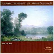Mozart / Hummel - Chamber Music with Flute
