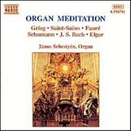 Organ Meditation