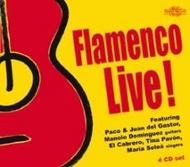 Flamenco Live