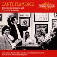 Cante Flamenco