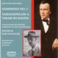 Brahms - Symphony No.1, St Anthony Variations