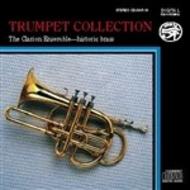 Trumpet Collection