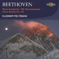 Beethoven - Piano Sonatas