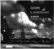 J S Bach / J C Bach - Desire (Cantatas)