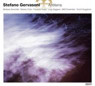 Stefano Gervasoni - Antiterra