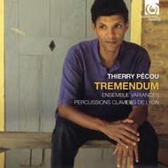 Thierry Pecou - Tremendum