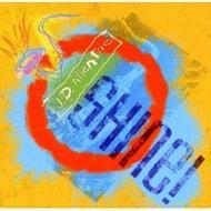 J D Allen Trio: Shine!