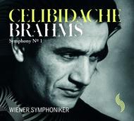 Brahms - Symphony No.1