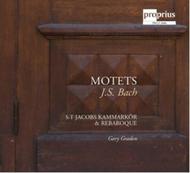 J S Bach - Motets