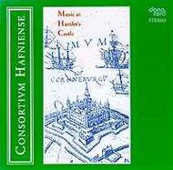 Music at Hamlets Castle