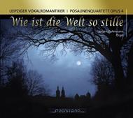 Wie ist die Welt so stille | Querstand VKJK1322