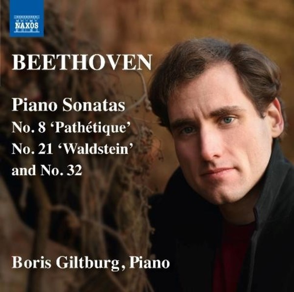 Beethoven - Piano Sonatas