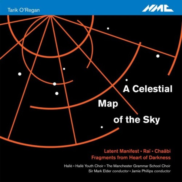 Tarik ORegan - A Celestial Map of the Sky