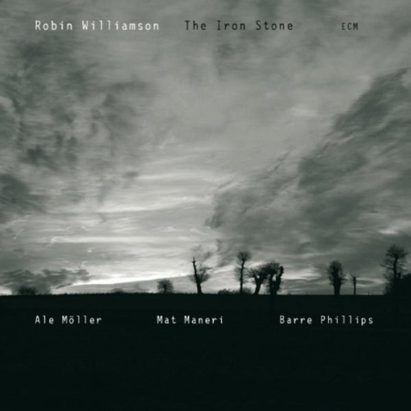 Robin Williamson: The Iron Stone