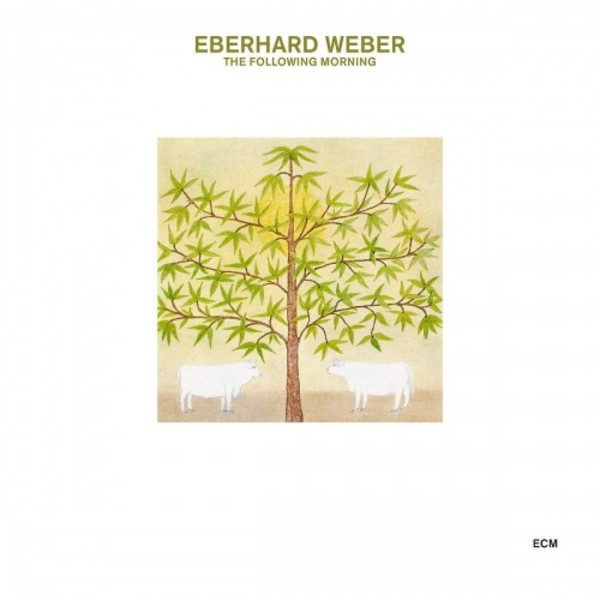 Eberhard Weber - The Following Morning