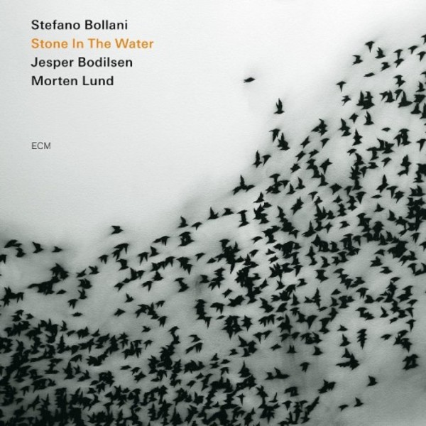 Stefano Bollani: Stone in the Water