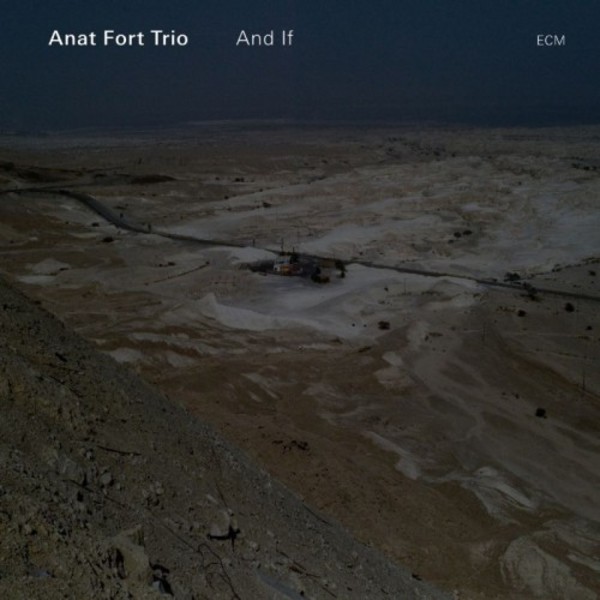 Anat Fort Trio: And If
