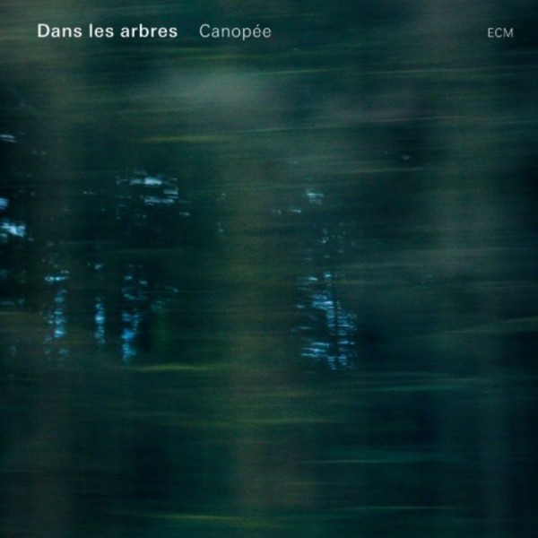 Dans les arbres: Canopee