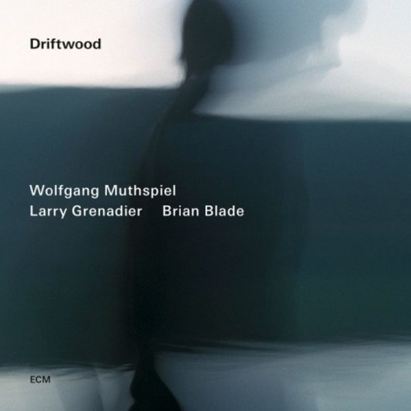 Wolfgang Muthspiel - Driftwood