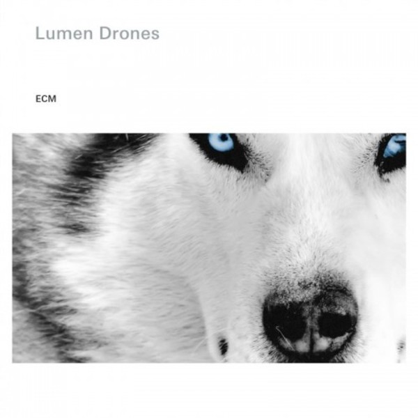 Lumen Drones
