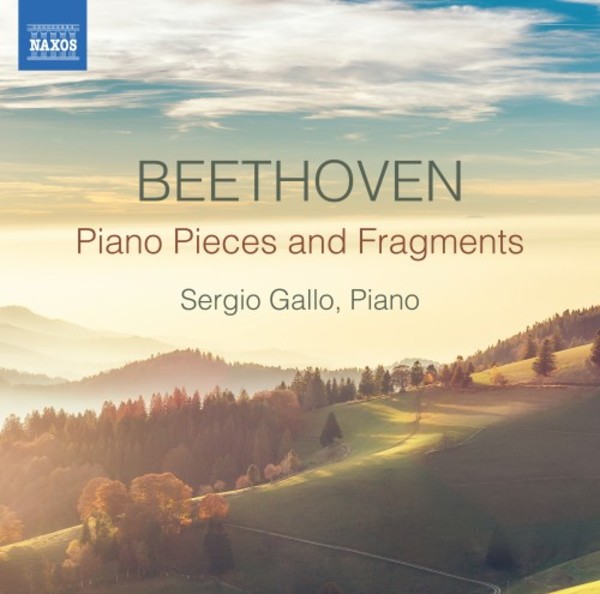 Beethoven - Piano Pieces and Fragments