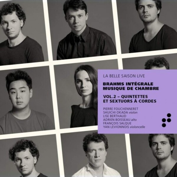 Brahms - Complete Chamber Music vol.2 (String Quintets and Sextets)