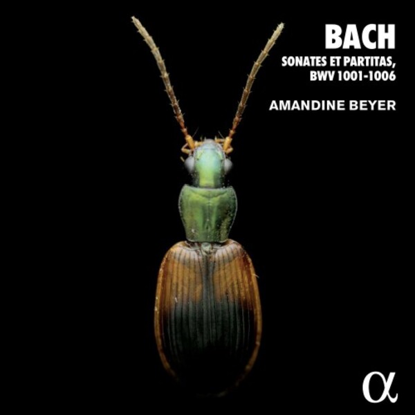 JS Bach - Sonatas & Partitas, BWV1001-1006