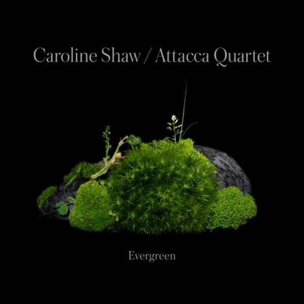 Caroline Shaw: Evergreen | Nonesuch 7559791350