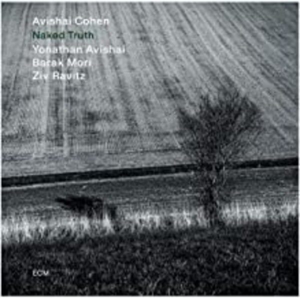Naked Truth - Avishai Cohen