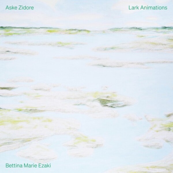 Zidore - Lark Animations (Vinyl LP)