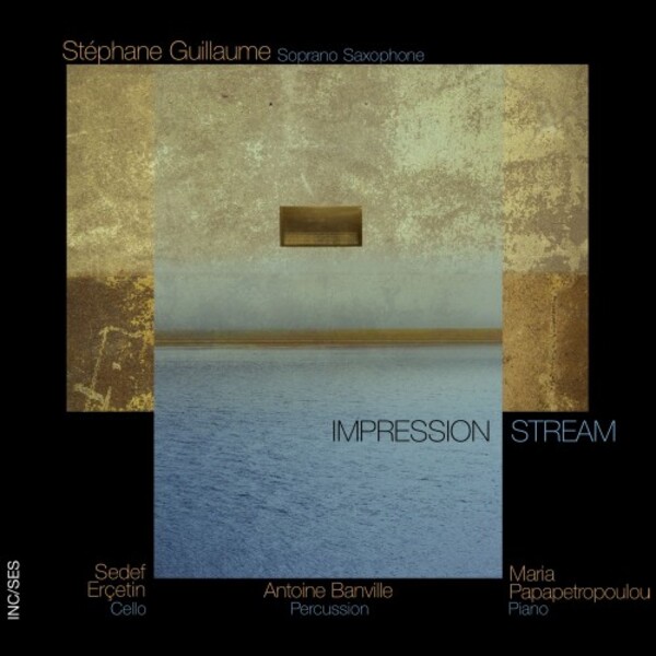 Stephane Guillaume: Impression Stream